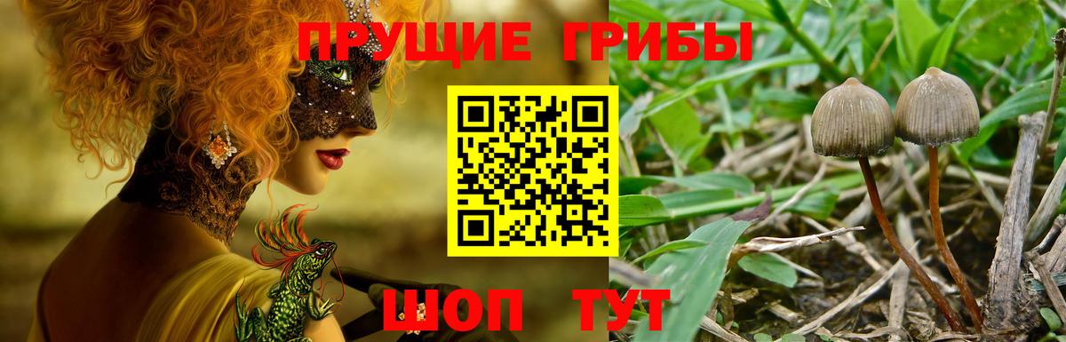 Псилоцибиновые грибы MAGIC MUSHROOMS Стрежевой