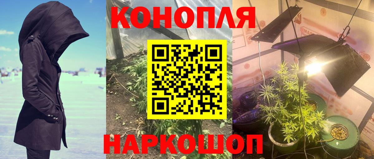 Шишки марихуана тримм  Вход с VPN  Каннабис MAZAR  Стрежевой  Бошки марихуана OG Kush 